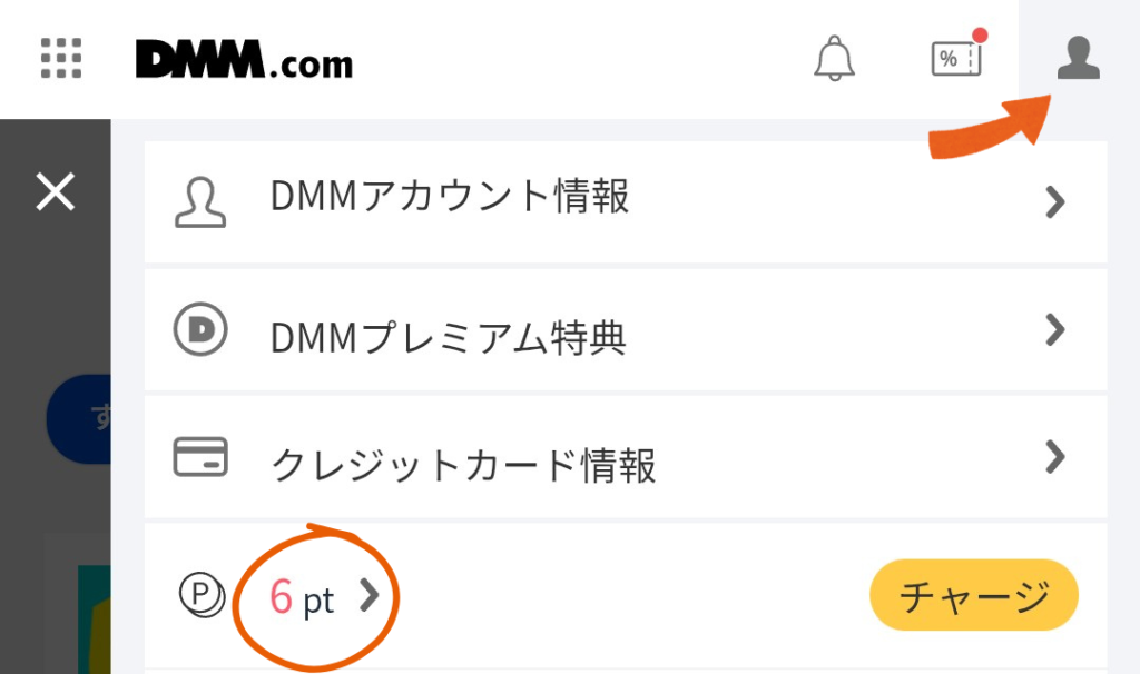 dmmポイントの確認をしている様子